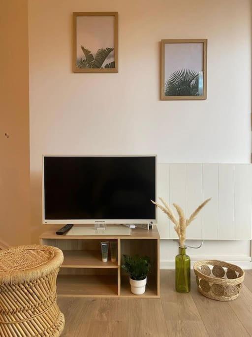 The Jungle Studio, Loggia & Parking Dans Residence ロマン・シュル・イゼール エクステリア 写真