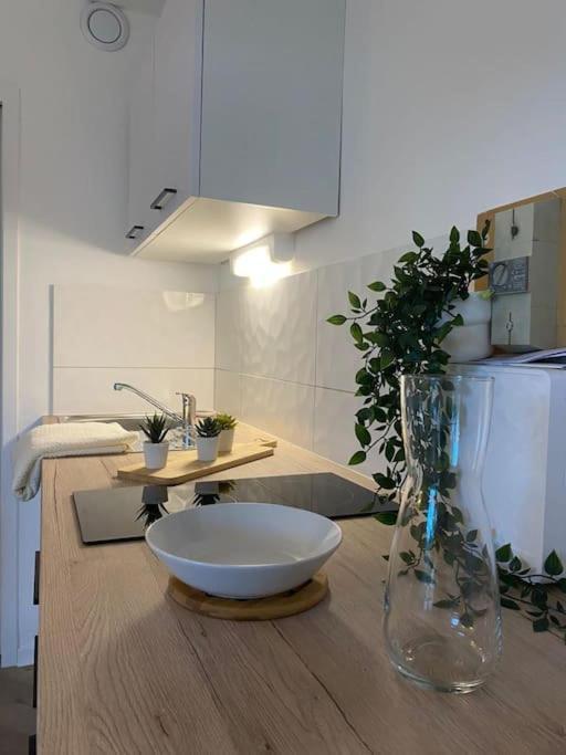 The Jungle Studio, Loggia & Parking Dans Residence ロマン・シュル・イゼール エクステリア 写真